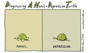 Manic-Depressive Turtle